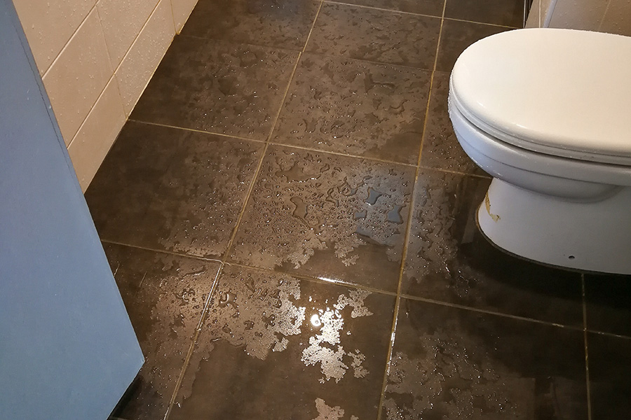 Overflowing toilet during a plumbing emergency